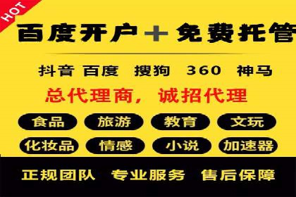 SEM服务公司助力企业流量增长案例